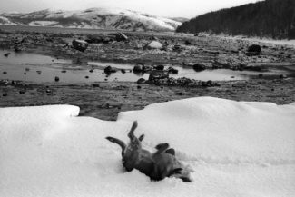 29. Кольский залив, Мурманская область, 2012