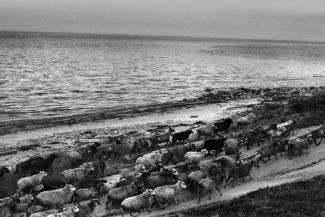 11. Белое море, Архангельская область, 2011