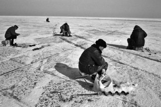 44. Рыбинское водохранилище, река Волга, 2010