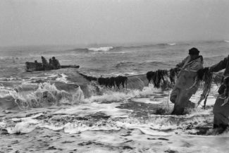 39. Залив Терпения, о. Сахалин, 2007