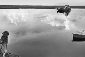 09. Белое море, район Летней Золотицы, Архангельская область, 2010