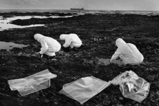 14. Разлив нефти на Сахалине, Невельск, 2015