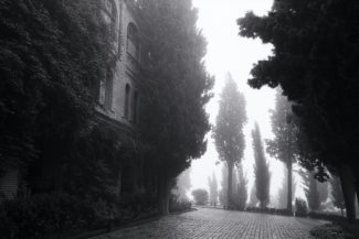 01. Бодбийский монастырь. Сигнахи, Грузия, 2014