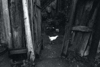 34. Сигнахи, Грузия, 2014