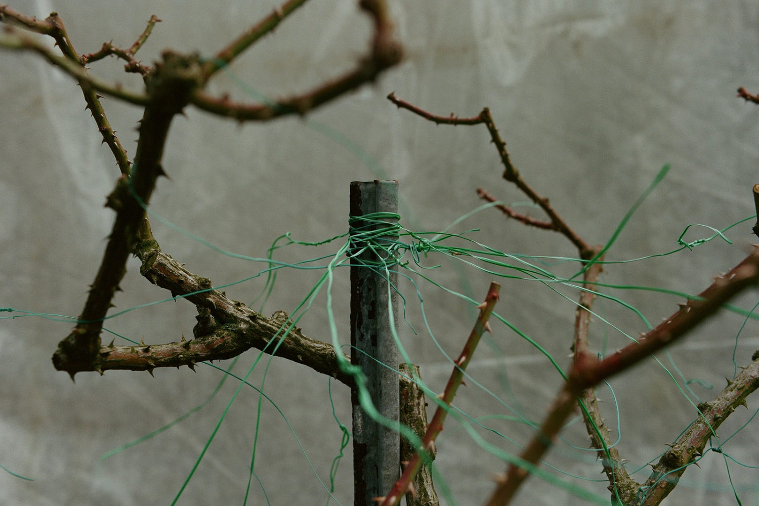 48. Sochi, Russia, 2020