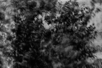 17. Saint Petersburg, 2010