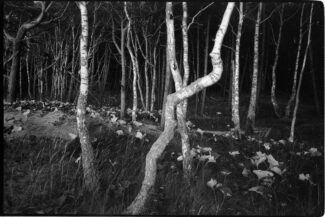 24. Curonian Spit, Russia, 2014