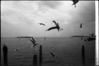 08. Venice, Italy, 2014