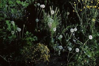 19. Из серии "Окна", 1992