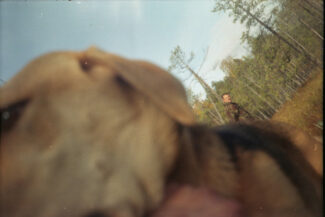 50. Архангельская область, 2009 - 2010 гг.