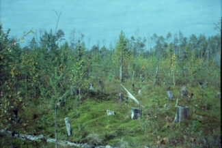 44. Архангельская область, 2009 - 2010 гг.