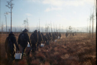 46. Архангельская область, 2009 - 2010 гг.