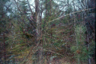 59. Архангельская область, 2009 - 2010 гг.