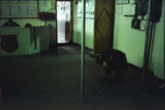 61. Архангельская область, 2009 - 2010 гг.