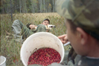 51. Архангельская область, 2009 - 2010 гг.