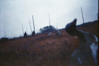 30. Архангельская область, 2009 - 2010 гг.