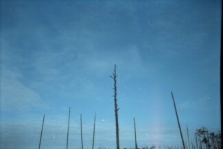 66. Архангельская область, 2009 - 2010 гг.