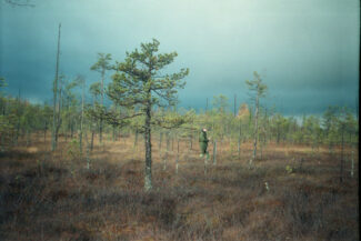 49. Архангельская область, 2009 - 2010 гг.