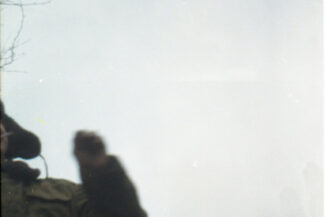 23. Архангельская область, 2009 - 2010 гг.