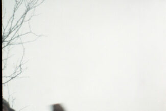 22. Архангельская область, 2009 - 2010 гг.