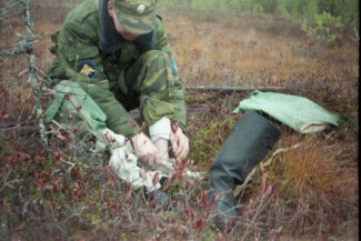 47. Архангельская область, 2009 - 2010 гг.