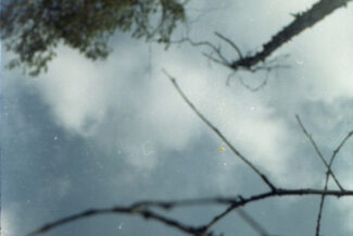 54. Архангельская область, 2009 - 2010 гг.