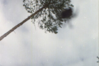 53. Архангельская область, 2009 - 2010 гг.