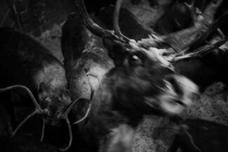 03. Yamal Peninsula, Russia, 2010