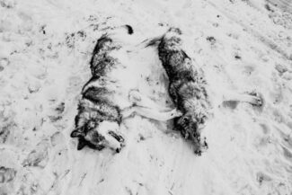 09. Nizhnekolymsky District, the Sakha (Yakutia) Republic, Russia, 2013