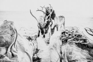 14. Nizhnekolymsky District, the Sakha (Yakutia) Republic, Russia, 2013