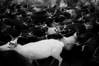 18. Yamal Peninsula, Russia, 2010