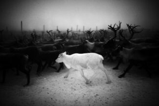 19. Yamal Peninsula, Russia, 2010