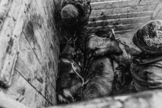 40. Nizhnekolymsky District, the Sakha (Yakutia) Republic, Russia, 2013