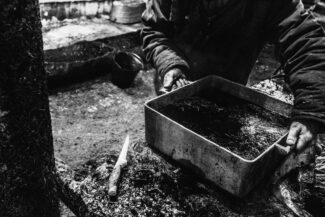 41. Nizhnekolymsky District, the Sakha (Yakutia) Republic, Russia, 2013