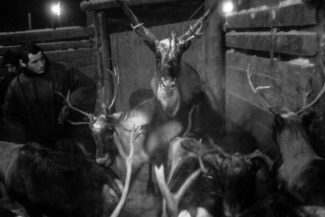 51. Yamal Peninsula, Russia, 2010