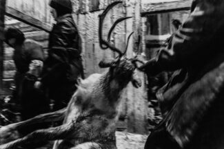 53. Nizhnekolymsky District, the Sakha (Yakutia) Republic, Russia, 2013