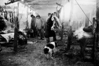 55. Yamal Peninsula, Russia, 2010