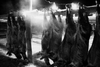 56. Yamal Peninsula, Russia, 2010