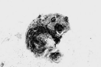 60. Nizhnekolymsky District, the Sakha (Yakutia) Republic, Russia, 2013