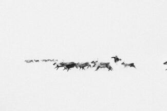 62. Nizhnekolymsky District, the Sakha (Yakutia) Republic, Russia, 2013