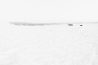 65. Nizhnekolymsky District, the Sakha (Yakutia) Republic, Russia, 2013