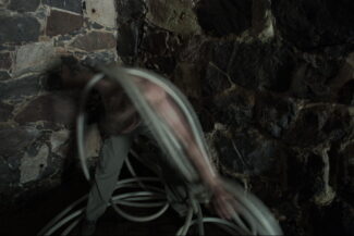 38. Из серии "Лаоакоон", 2006