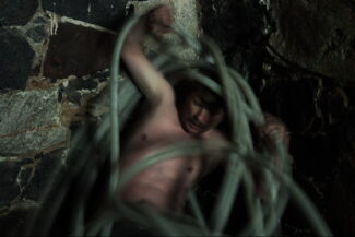 41. Из серии "Лаоакоон", 2006
