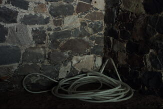 43. Из серии "Лаоакоон", 2006
