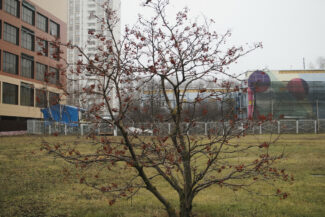 51. Moscow, 2018 - 2020