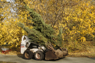 19. Moscow, 2018 - 2020