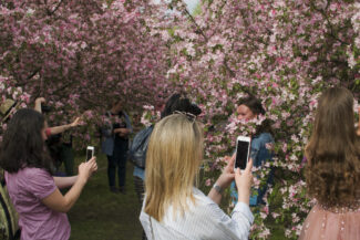 29. Moscow, 2018 - 2020