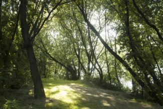 24. Moscow, 2018 - 2020