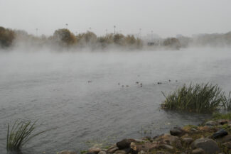 55. Moscow, 2018 - 2020