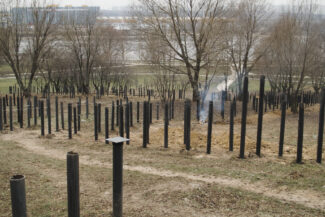 36. Moscow, 2018 - 2020